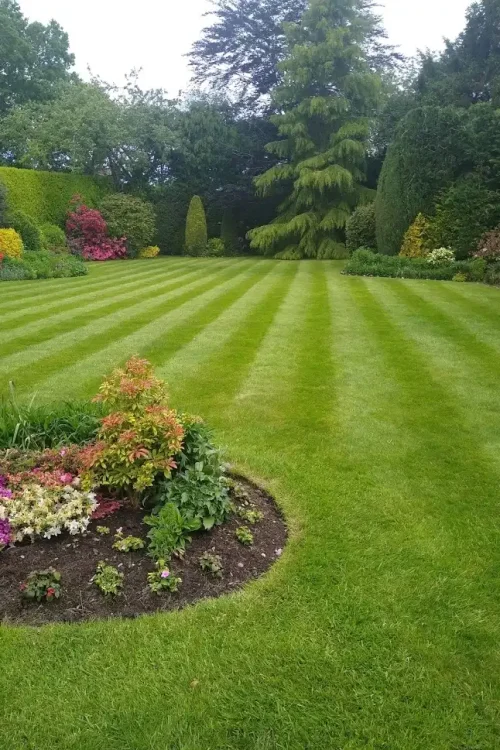 oQCVuR47iZUYsd4U9YUrsukdLXwIWOUjZnOEi2jV